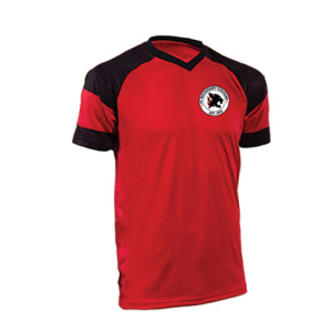 FC Cougars - Training Tee